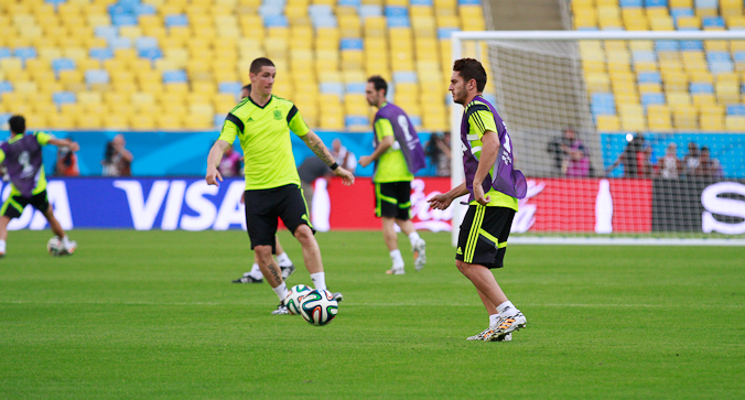 Wolfsburg chce Fernando Torresa