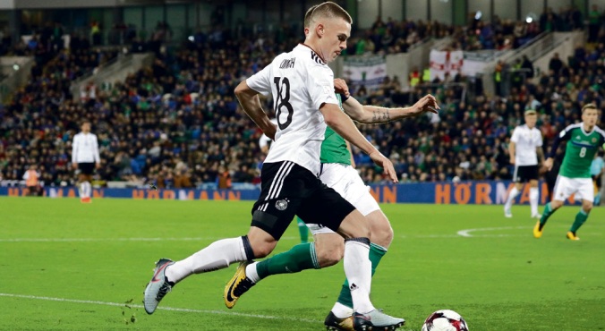 Rottweiler z krwi i kości