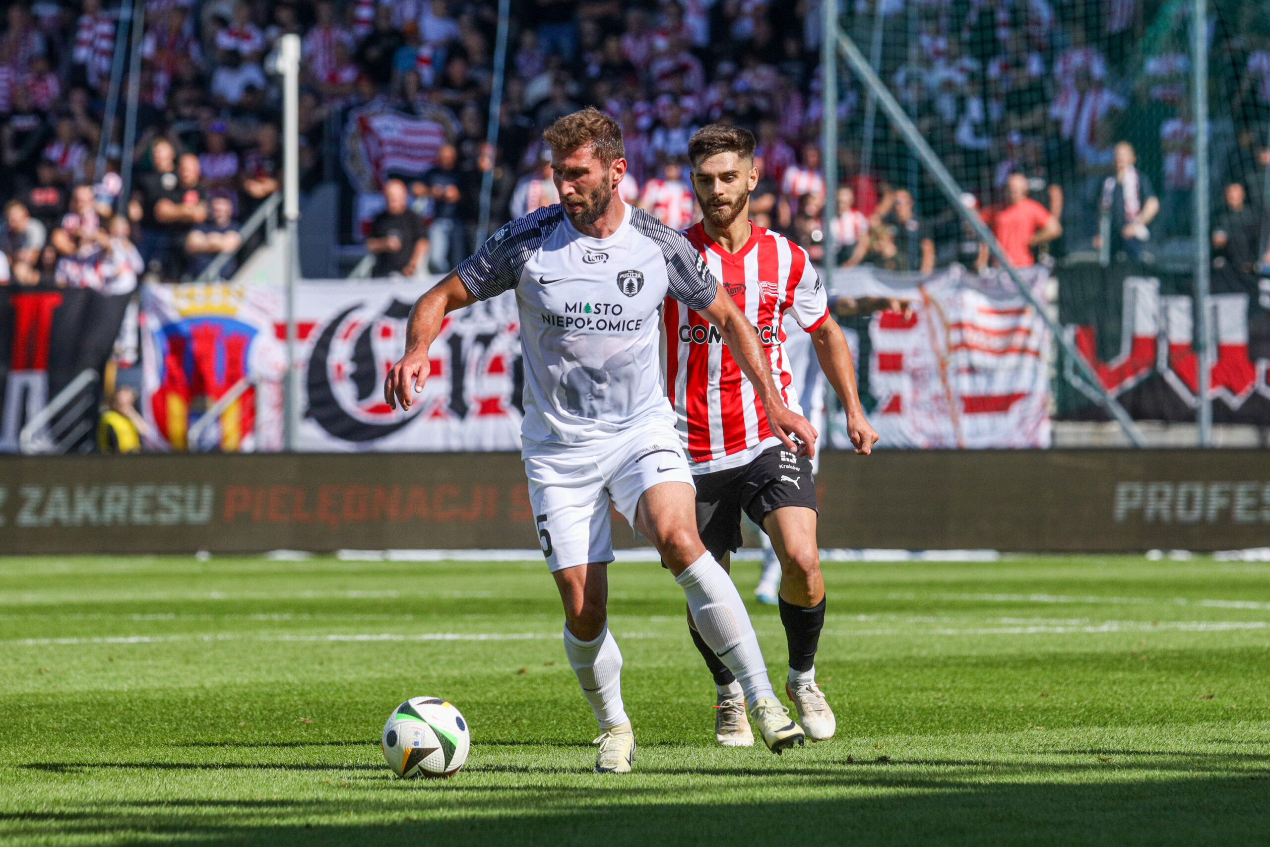 KRAKOW 21.09.2024
MECZ 9 KOLEJKA PKO EKSTRAKLASA  SEZON 2024/2025 -- POLISH FOOTBALL FIRST LEAGUE MATCH: Puszcza Niepolomice - Cracovia
NZ KONRAD STEPIEN
FOT. JACEK STANISLAWEK / 400mm.pl