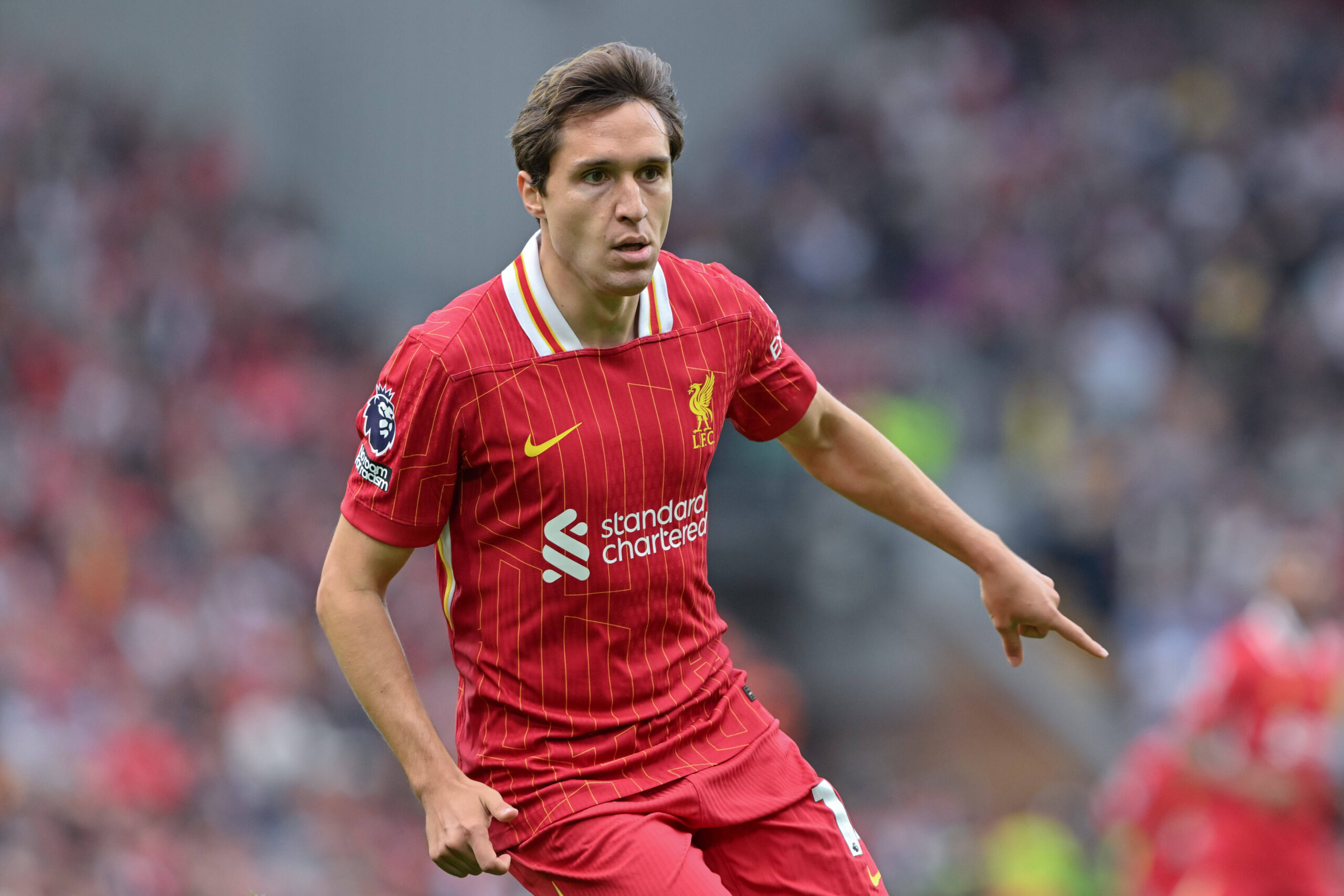 Premier League Liverpool v Bournemouth Federico Chiesa of Liverpool during the Premier League match Liverpool vs Bournemouth at Anfield, Liverpool, United Kingdom, 21st September 2024 Photo by Liverpool Anfield Merseyside United Kingdom Copyright: xCodyxFroggatt/NewsxImagesx,Image: 910602397, License: Rights-managed, Restrictions: , Model Release: no, Credit line: Cody Froggatt/News Images / imago sport / Forum