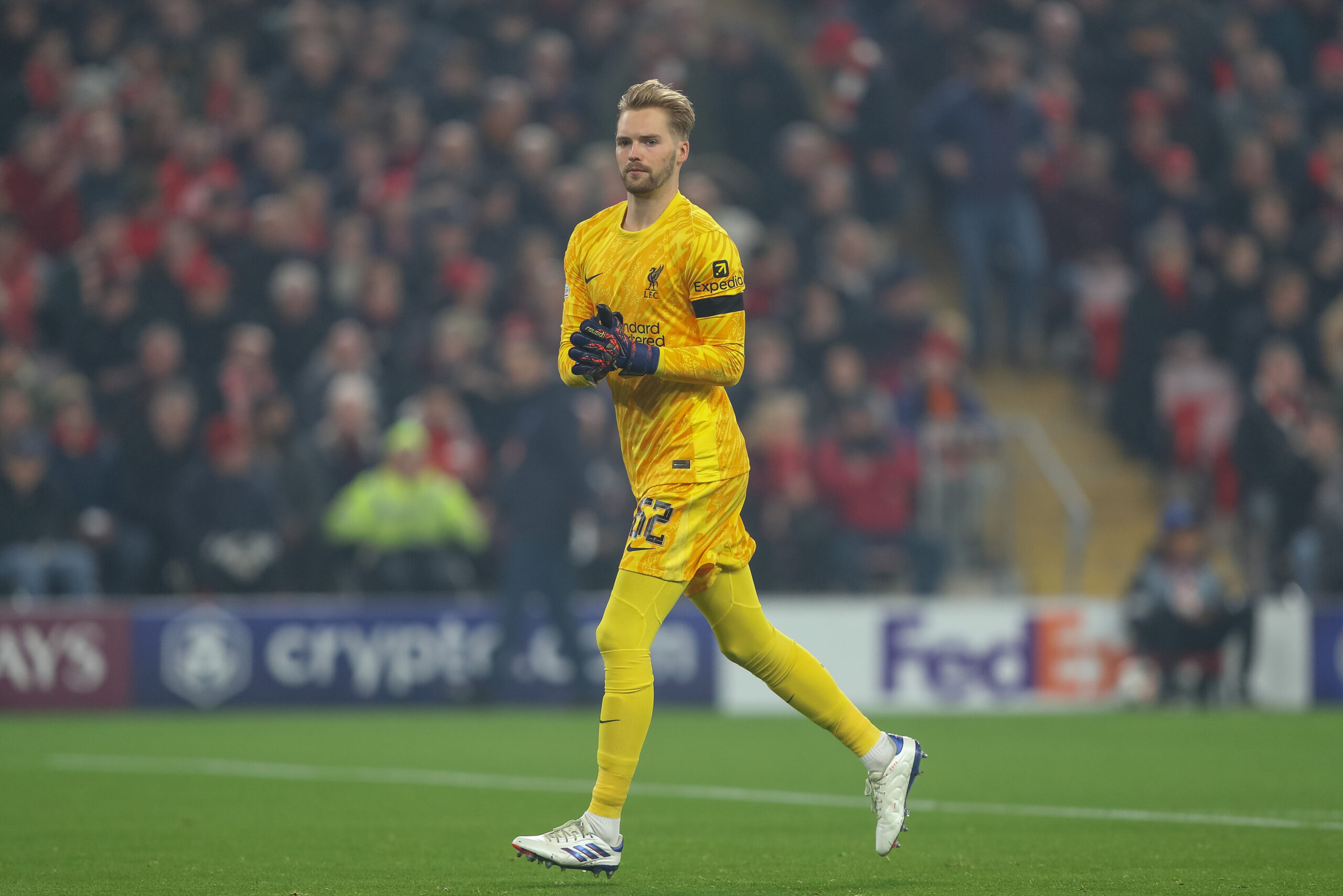 Caoimhin Kelleher of Liverpool during the UEFA Champions League, League Stage match Liverpool vs Bayer 04 Leverkusen at Anfield, Liverpool, United Kingdom, 5th November 2024

(Photo by Gareth Evans/News Images) in Liverpool, United Kingdom on 11/5/2024. (Photo by Gareth Evans/News Images/Sipa USA)
2024.11.05 Liverpool
pilka nozna liga mistrzow
FC Liverpool - Bayer 04 Leverkusen
Foto Gareth Evans/News Images/SIPA USA/PressFocus

!!! POLAND ONLY !!!