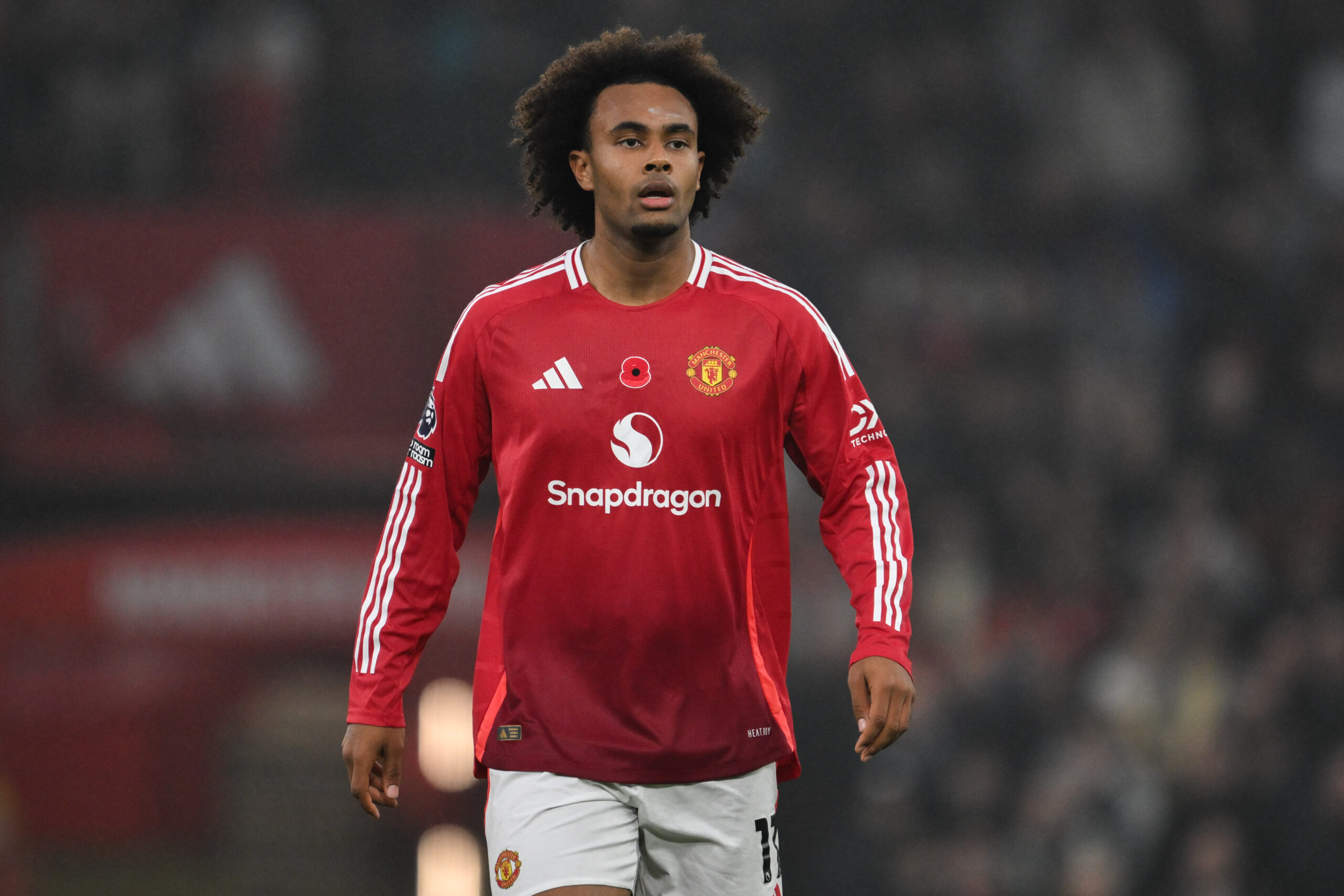 Joshua Zirkzee of Manchester United during the Premier League match Manchester United vs Leicester City at Old Trafford, Manchester, United Kingdom, 10th November 2024

(Photo by Craig Thomas/News Images) in Manchester, United Kingdom on 11/10/2024. (Photo by Craig Thomas/News Images/Sipa USA)
2024.11.10 Manchester
pilka nozna liga angielska
Manchester United - Leicester City
Foto News Images/SIPA USA/PressFocus

!!! POLAND ONLY !!!