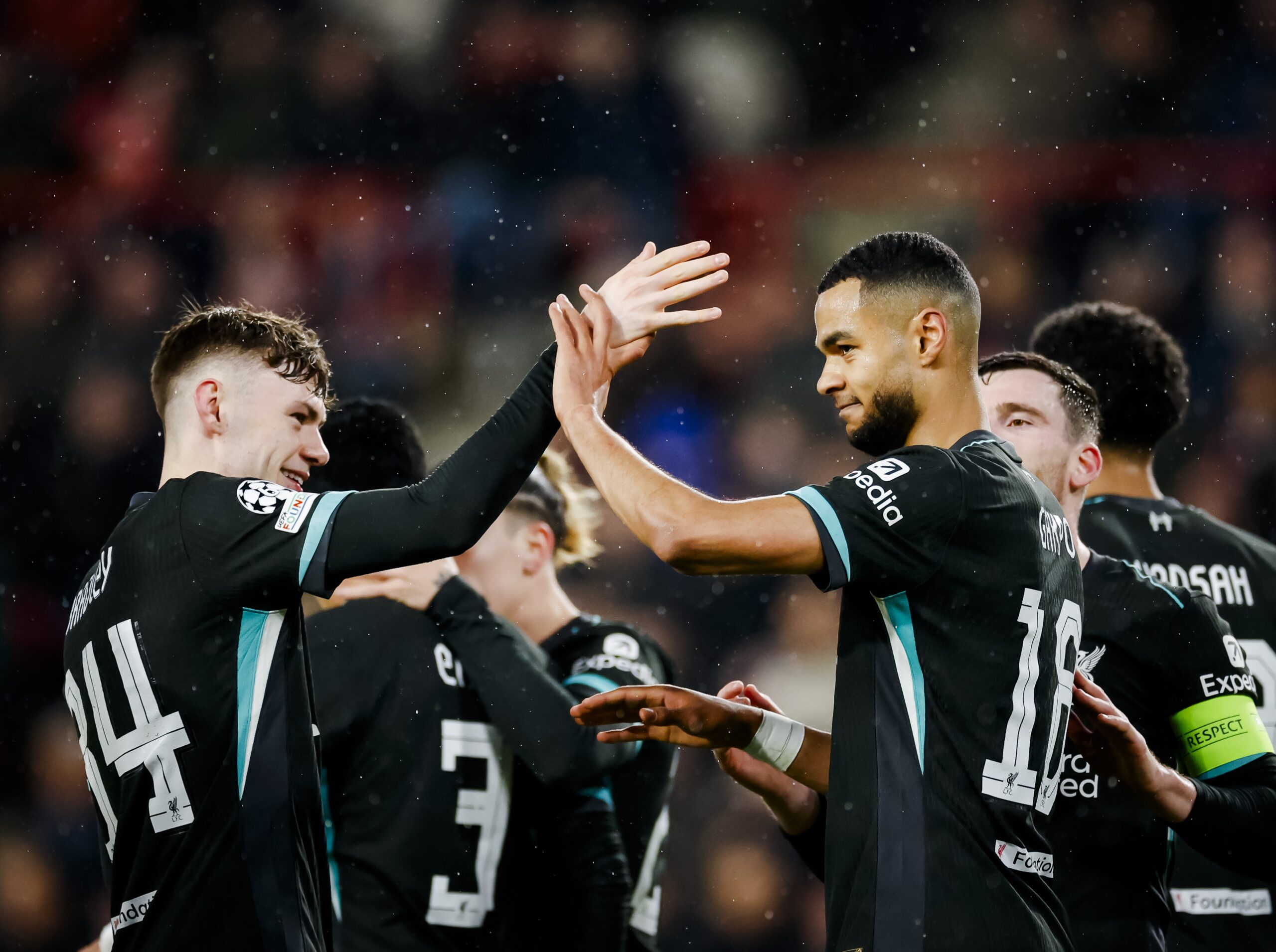 1/29/2025 - EINDHOVEN - Cody Gakpo of Liverpool FC scores the 0-1 during a penalty during the UEFA Champions League match between PSV Eindhoven and Liverpool FC at Phillips Stadium on Jan. 29, 2025 in Eindhoven, Netherlands. ANP ROBIN VAN LONKHUIJSEN /ANP/Sipa USA
2025.01.29 UEFA Champions League 2024/25 League Phase MD8
pilka nozna liga mistrzow
PSV Eindhoven - Liverpool FC
Foto ANP/SIPA USA/PressFocus

!!! POLAND ONLY !!!