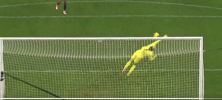Spektakularny gol w Serie A [WIDEO]