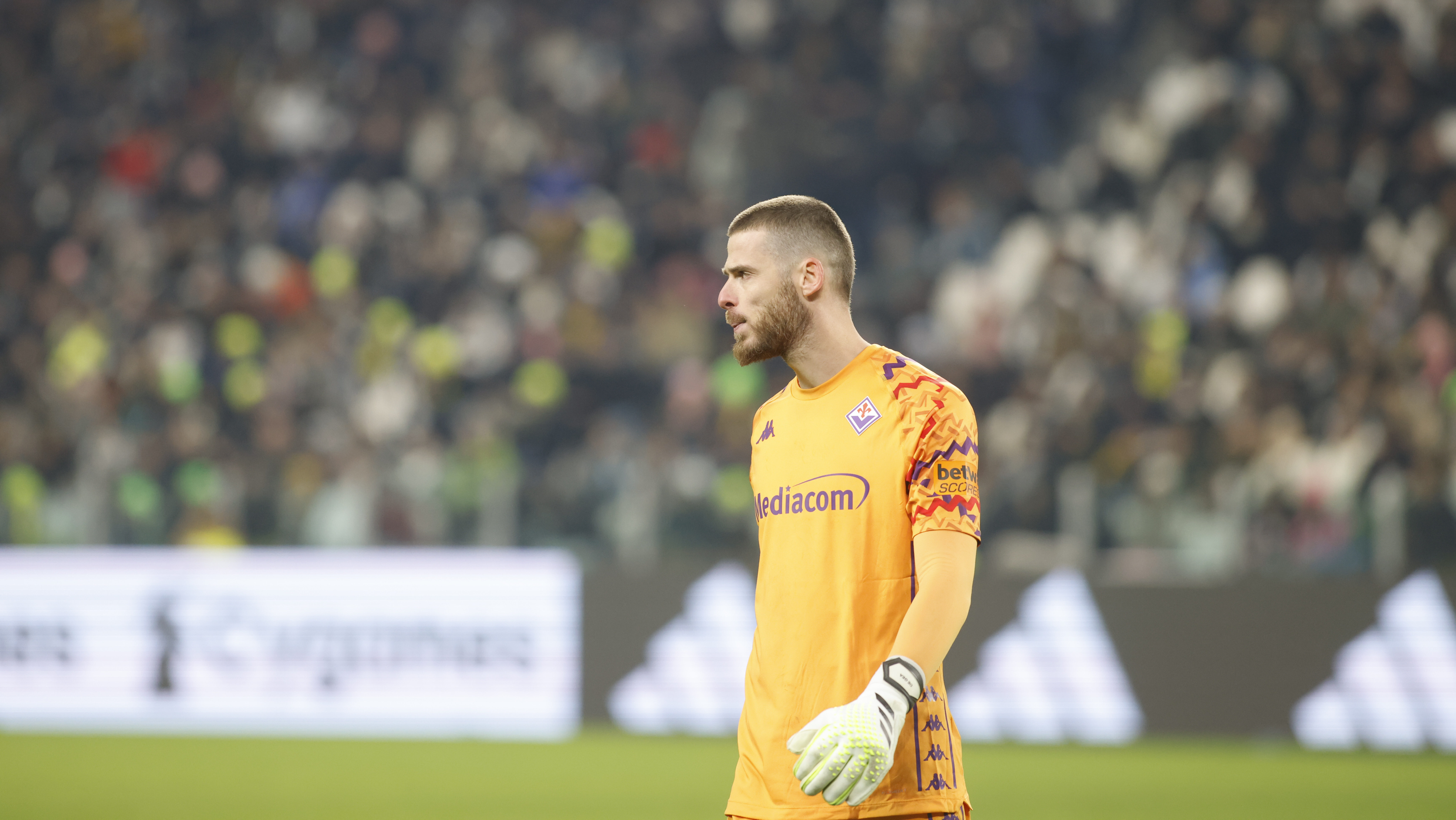 David De Gea ACF Fiorentina during the Italian Serie A 2024/25 season, football match between Juventus FC and ACF Fiorentina on 29 December 2024 at Allianz Stadium, Turin Italy. Photo Nderim Kaceli (Photo by Nderim Kaceli/IPA Sport / ipa-agency.net/IPA/Sipa USA)
2024.12.29 Turin
pilka nozna liga wloska
Juventus FC - ACF Fiorentina
Foto IPA/SIPA USA/PressFocus
!!! POLAND ONLY !!!