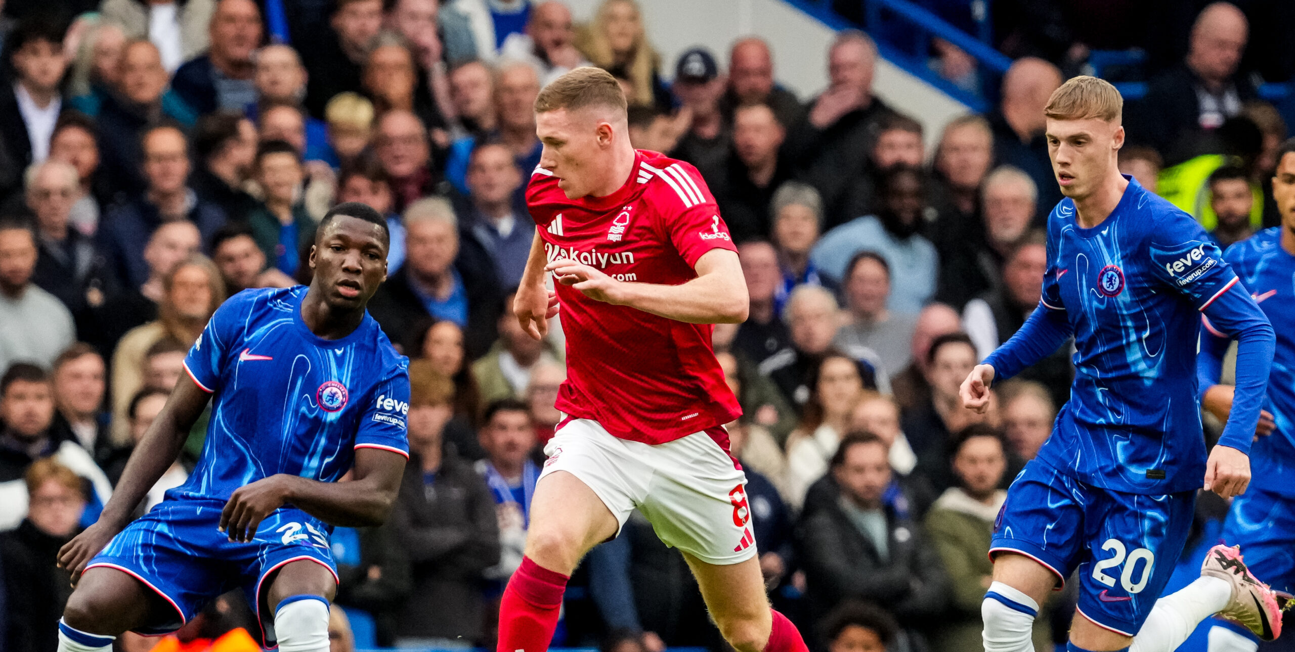 LONDON, ENGLAND - OCTOBER 6: Elliot Anderson of Nottingham Forest FC dribbles with the ball during the Premier League match between Chelsea FC and Nottingham Forest FC at Stamford Bridge on October 6, 2024 in London, England. (Photo by Rene Nijhuis/MB Medias)
2024.10.06 Londyn
Pilka nozna liga angielska
Chelsea Londyn - Nottingham Forest
Foto Rene Nijhuis/MB Media/PressFocus
!!! POLAND ONLY !!!