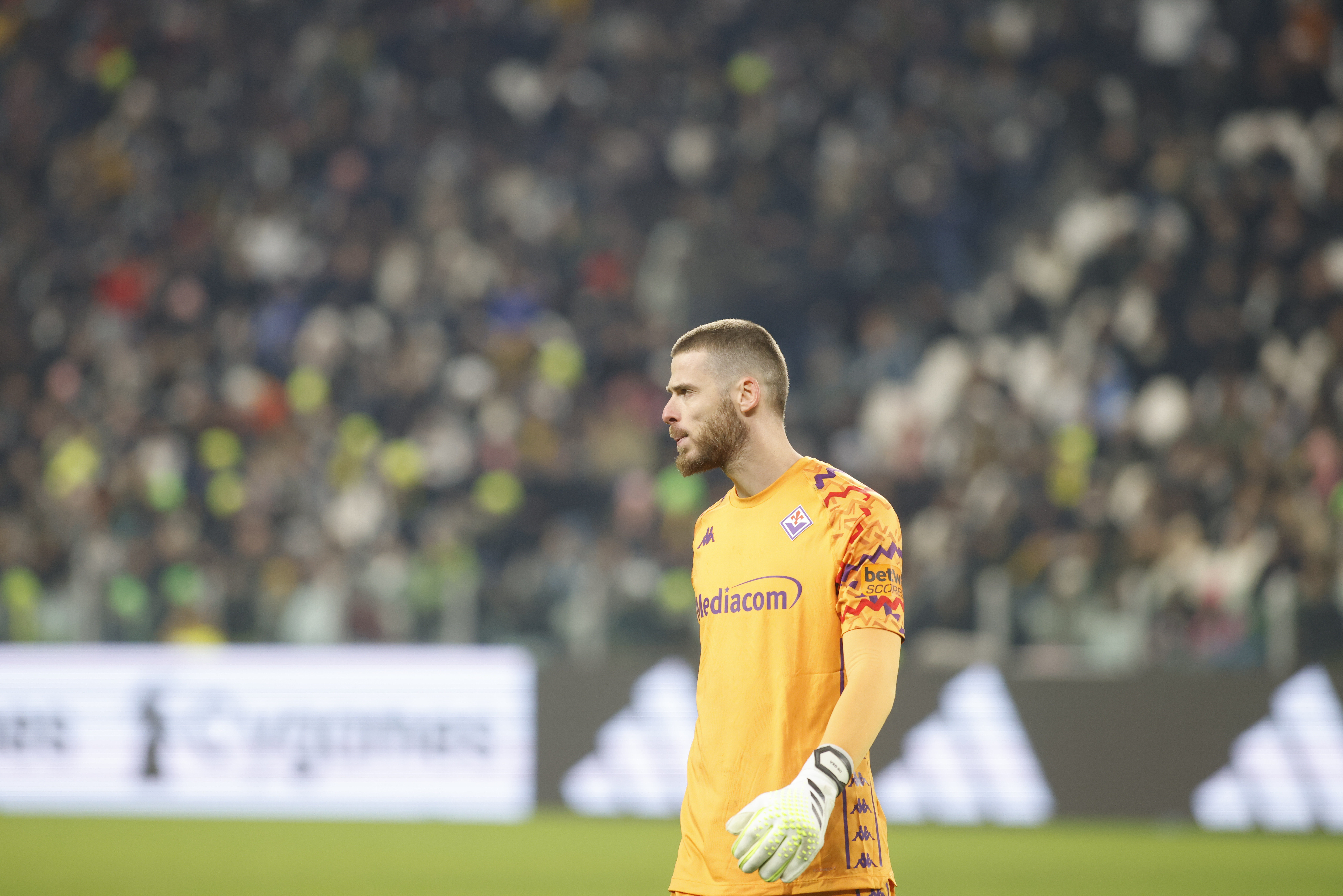 David De Gea ACF Fiorentina during the Italian Serie A 2024/25 season, football match between Juventus FC and ACF Fiorentina on 29 December 2024 at Allianz Stadium, Turin Italy. Photo Nderim Kaceli (Photo by Nderim Kaceli/IPA Sport / ipa-agency.net/IPA/Sipa USA)
2024.12.29 Turin
pilka nozna liga wloska
Juventus FC - ACF Fiorentina
Foto IPA/SIPA USA/PressFocus

!!! POLAND ONLY !!!