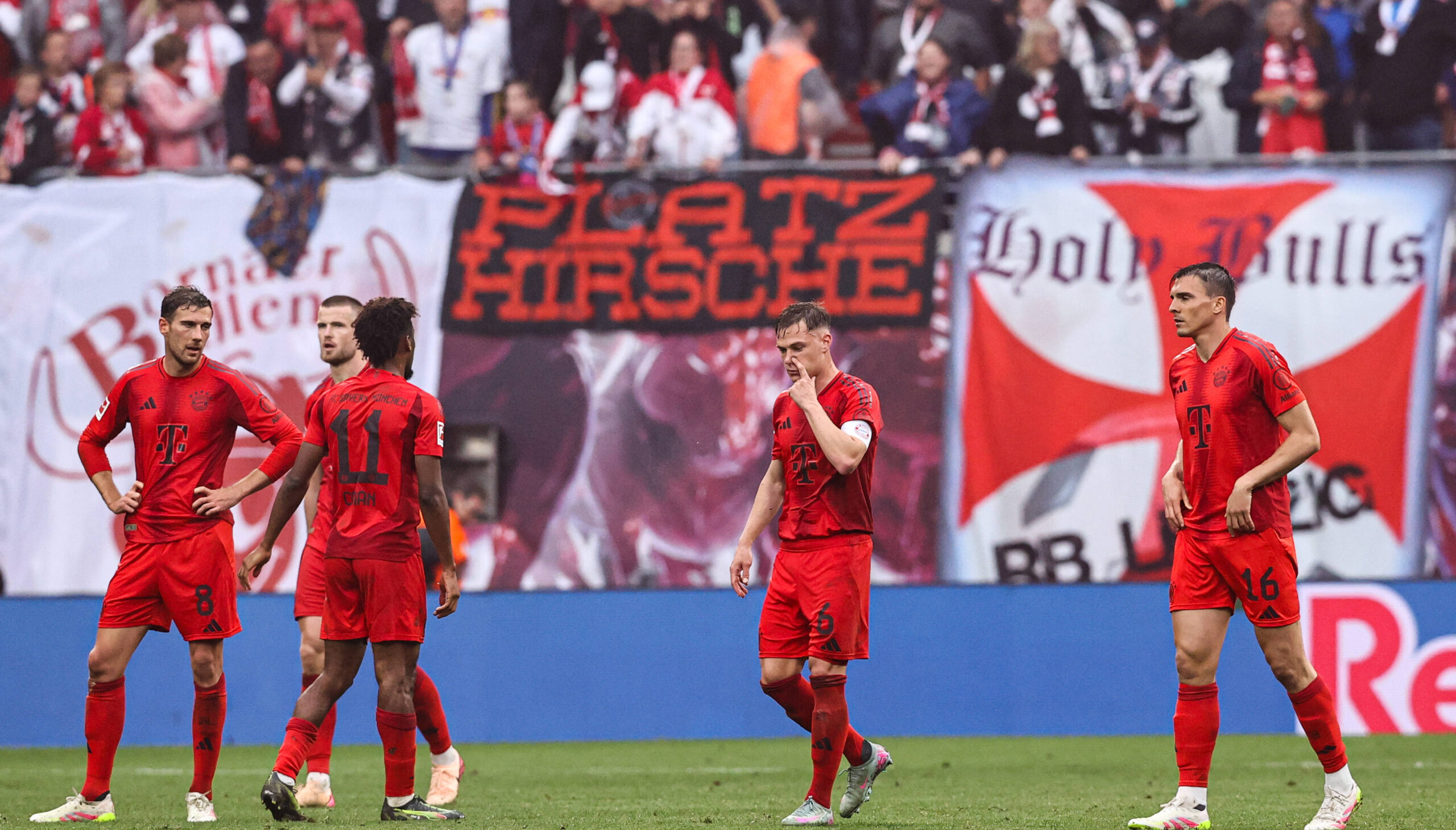 v.l. Leon Goretzka FC Bayern Munchen,8, Eric Dier FC Bayern Munchen,15, Kingsley Coman FC Bayern Munchen,11, Joshua Kimmich FC Bayern Munchen,6, Joao Palhinha FC Bayern Munchen,16 - Torschutze Yussuf Poulsen RB Leipzig,9 trifft zum 3-3 - 1. Fussball Bundesliga Saison 2024-2025 Punktspiel RB Leipzig vs. FC Bayern Munchen in der Red Bull Arena in Leipzig - Aktion,Fussball,Deutschland,Mann,Manner,03.05.2025 *** v l Leon Goretzka FC Bayern Munich,8 , Eric Dier FC Bayern Munich,15 , Kingsley Coman FC Bayern Munich,11 , Joshua Kimmich FC Bayern Munich,6 , Joao Palhinha FC Bayern Munich,16 Goalscorer Yussuf Poulsen RB Leipzig,9 scores for 3 3 1 Soccer Bundesliga Season 2024 2025 Point Match RB Leipzig vs FC Bayern Munich at the Red Bull Arena in Leipzig Action,Soccer,Germany,Man,Men,03 05 2025
2025.05.03 Lipsk
pilka nozna , liga niemiecka
RB Lipsk - Bayern Monachium
Foto IMAGO/PressFocus

!!! POLAND ONLY !!!