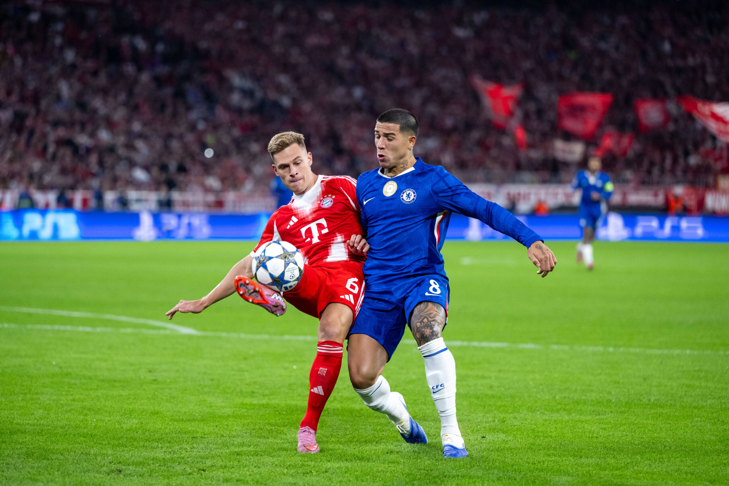Joshua Kimmich FC Bayern Muenchen, 06 im Zweikampf mit Enzo Fernandez FC Chelsea, 08, GER, FC Bayern Muenchen vs FC Chelsea FC, Fussball, UEFA Champions League, Ligaphase, 1. Spieltag, Saison 2025/2026, 17.09.2025 GER, FC Bayern Muenchen vs FC Chelsea FC, Fussball, UEFA Champions League, Ligaphase, 1. Spieltag, Spielzeit 2025/2026, 17.09.2025 Muenchen *** Joshua Kimmich FC Bayern Muenchen, 06 in duel with Enzo Fernandez FC Chelsea, 08 , GER, FC Bayern Muenchen vs FC Chelsea FC, Football, UEFA Champions League, League Phase, Matchday 1, Season 2025 2026, 17 09 2025 GER, FC Bayern Muenchen vs FC Chelsea FC, Football, UEFA Champions League, League Phase, Matchday 1, Season 2025 2026, 17 09 2025 Muenchen Copyright: xEibner-Pressefoto/Memmlerx EP_MMR
2025.09.17 Monachium
pilka nozna , liga mistrzow
Bayern Monachium - Chelsea Londyn
Foto IMAGO/PressFocus

!!! POLAND ONLY !!!