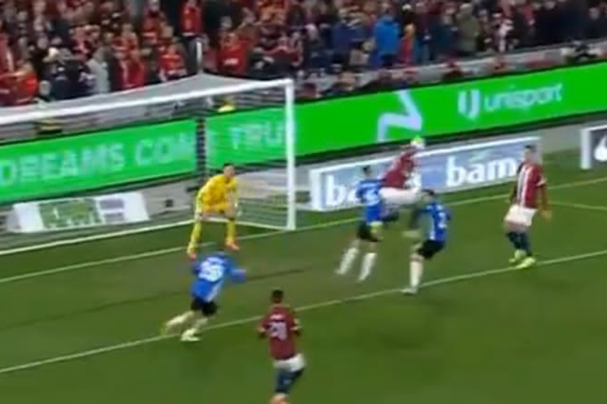 Kosmita! Erling Haaland znów strzela jak na zawołanie [WIDEO]