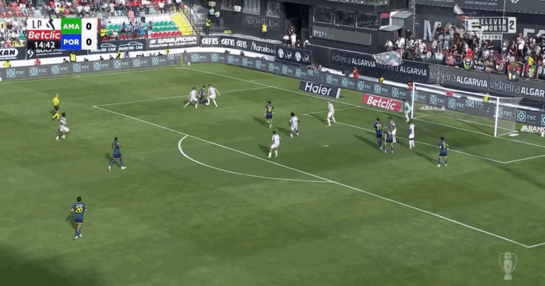 Pietuszewski wywalczył rzut karny! [WIDEO]